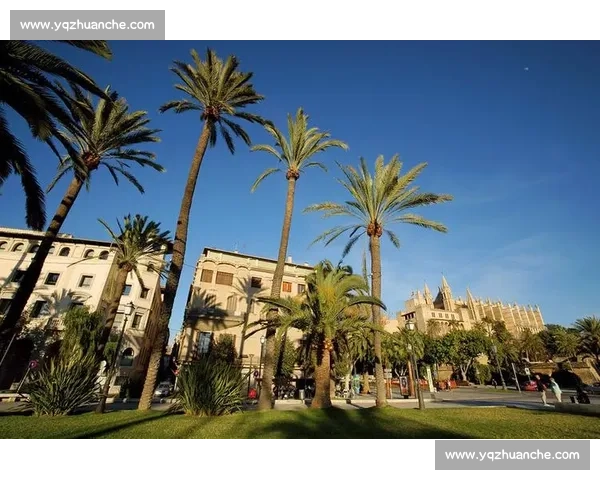 美国对阵西班牙的实力碰撞与国际格局深度解读全景剖析与未来走向研判