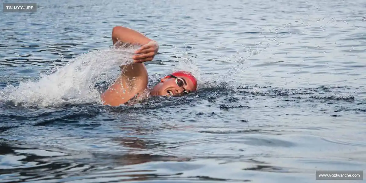 行业领先的理由